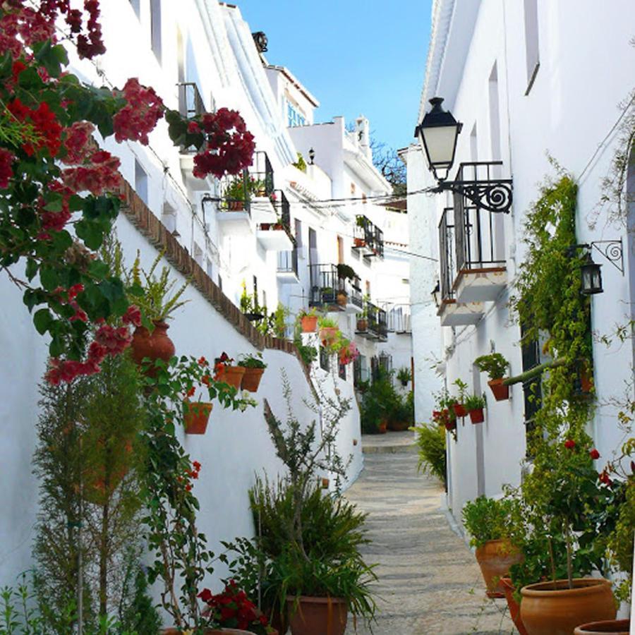 Nerja Paradise Rentals - Villa Cataleya 弗里希利亚纳 外观 照片
